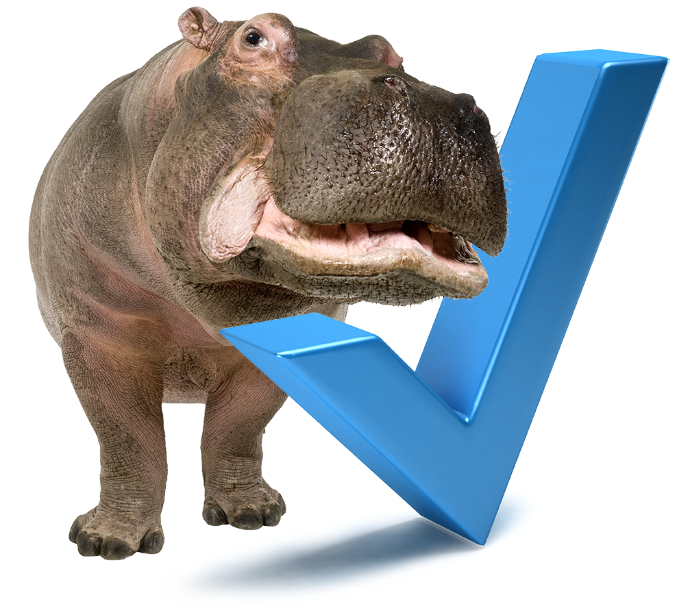 hippo assessment